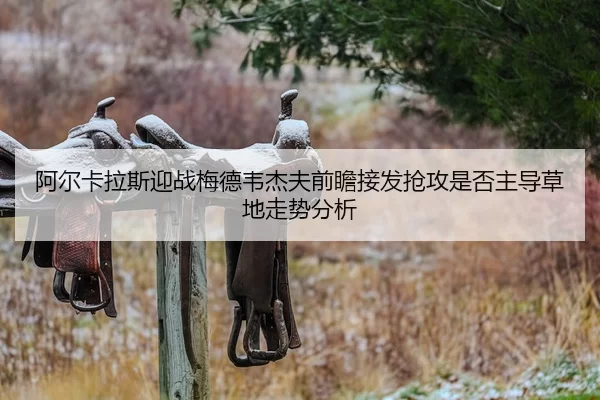 a-er-ka-la-si-ying-zhan-mei-de-wei-jie-fu-qian-zhan-jie-fa-qiang-gong-shi-fou-zhu-dao-cao-di-zou-shi-fen-xi-2-138.jpg