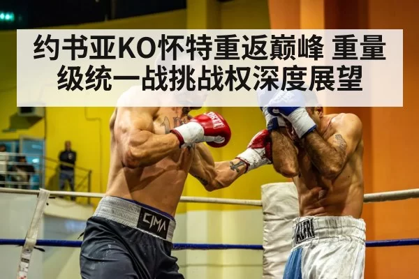 heavyweight boxing fight