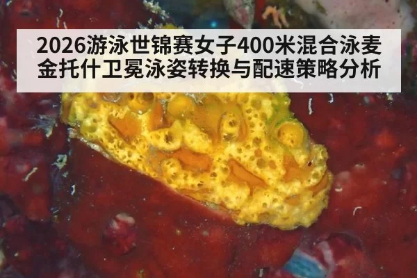 2026游泳世锦赛女子400米混合泳麦金托什卫冕泳姿转换与配速策略分析（kaiyun）